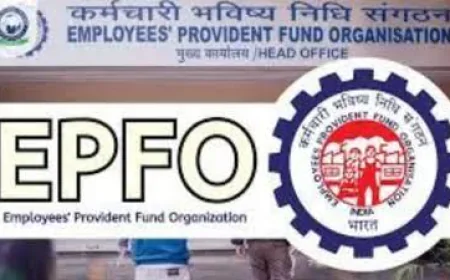 अब ATM और UPI से निकाल सकेंगे PF का पैसा: जून में लॉन्च होगा EPFO 3.0 प्लेटफॉर्म