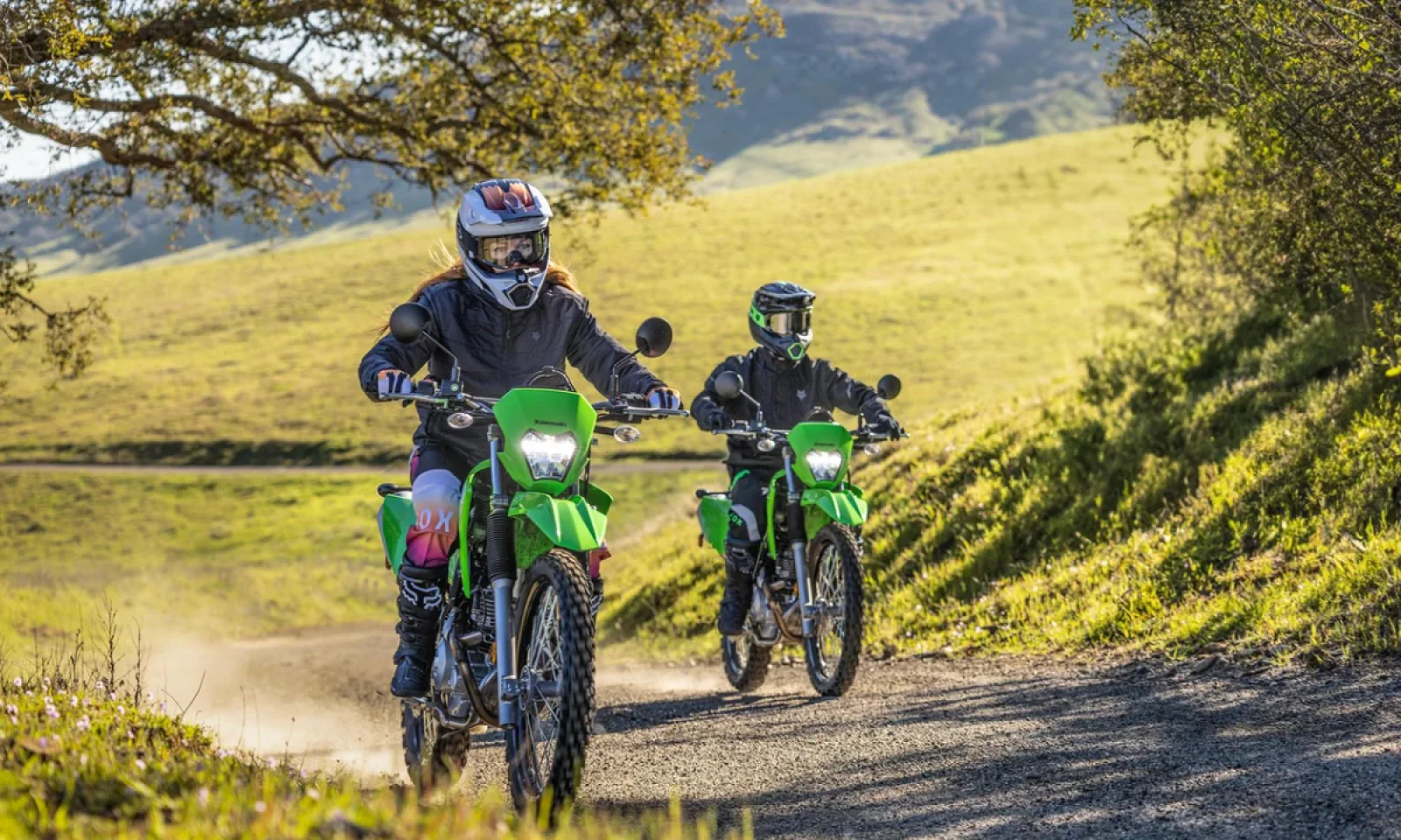 LX230 हुई लॉन्च , ऑफ रोडिंग में देगी टक्कर