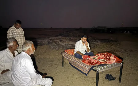 बाड़मेर में सोलर कंपनियों पर खेजड़ी वृक्ष की अवैध कटाई का आरोप, विधायक रविन्द्र भाटी ने जताया कड़ा विरोध