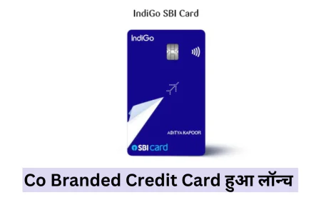 एसबीआई और इंडिगो ने साथ मिलकर Co Branded Credit Card लॉन्च किया जानें डिटेल्स