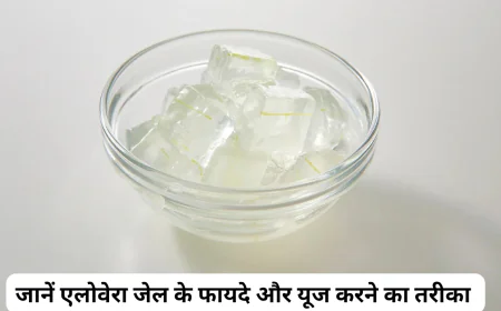 एलोवेरा सिर्फ घर नहीं बल्कि सेहत को भी रखेगा तरोताजा जानें फायदे और यूज करने का तरीका