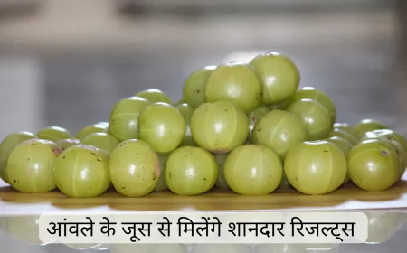 आंवला जूस पीने के फायदे सुन चौंक जाएंगे आंखों की रोशनी से लेकर त्वचा तक पहुंचेगा लाभ