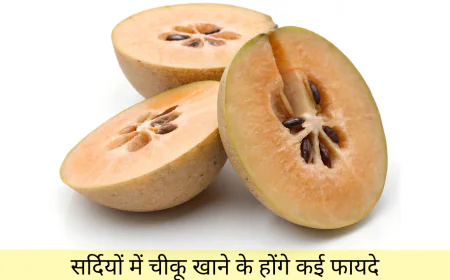 सर्दियों में चीकू खाने के होंगे कई फायदे जानकर रह जाएंगे हैरान जानें डिटेल्स में