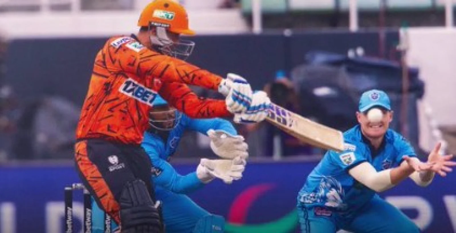 सनराइजर्स ईस्टर्न केप; कल होगा खिताबी मुकाबला, क्या गांगुली की टीम रचेगी इतिहास?