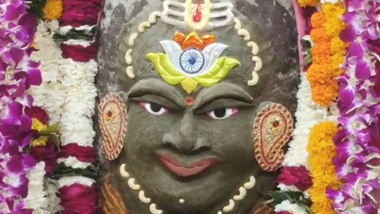 ! शिखर पर तिरंगा लाइट और मस्तक पर तिरंगा तिलक; उज्जैन के डॉ. नारायण व्यास को मिला पद्मश्री