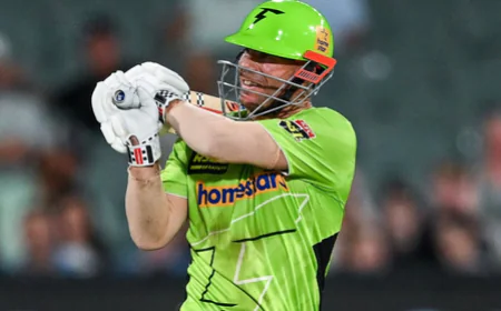 BBL 2025-26: एडिलेड स्ट्राइकर्स की रोमांचक जीत, डेविड वॉर्नर की नाबाद फिफ्टी गई बेकार; सिडनी थंडर्स 6 रन से हारी
