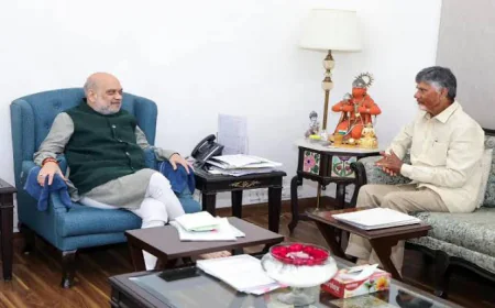 Chandrababu Naidu in Delhi: अमरावती को 'स्थायी राजधानी' का दर्जा देने की मांग, अमित शाह से मिले चंद्रबाबू नायडू