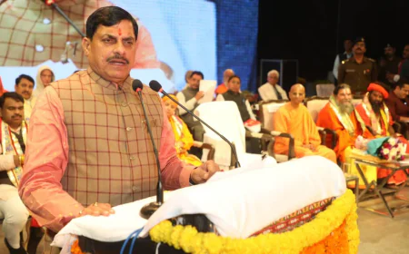 महमूद गजनवी के आक्रमण के 1000 साल, विदिशा में बोले सीएम मोहन यादव- 'सनातन की प्रतिष्ठा का नया युग'