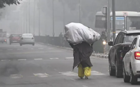 पंजाब में ठंड का 'टॉर्चर', बठिंडा में पारा 1.6°C तक गिरा; लोहड़ी से पहले मौसम विभाग ने जारी किया ऑरेंज अलर्ट