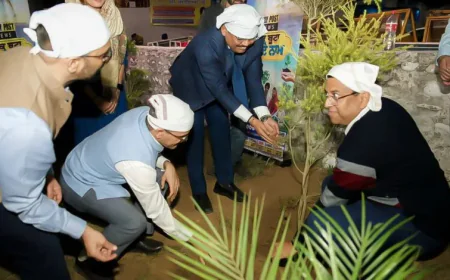 पंजाब में पराली प्रबंधन के लिए जापानी निवेश, CM भगवंत सिंह मान का पूरा समर्थन