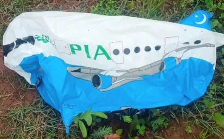 कठुआ में मिला संदिग्ध पाकिस्तानी गुब्बारा, सीमा पर सुरक्षा एजेंसियां हाई अलर्ट पर; पूर्व DGP ने दी बड़ी चेतावनी