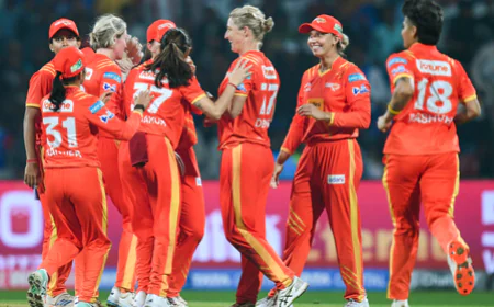 क्रिकेट फैंस को लग सकता है झटका! चुनाव के कारण बंद दरवाजों के पीछे होंगे मुंबई इंडियंस और दिल्ली कैपिटल्स के मैच; जानें क्या है वजह