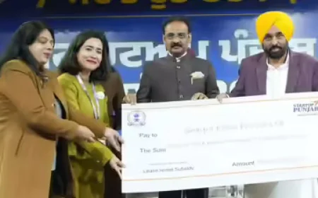 'नौकरी मांगने वाले नहीं, देने वाले बनें युवा!' CM भगवंत मान ने फगवाड़ा में राज्य के पहले स्टार्टअप कॉन्क्लेव का किया आगाज; स्टार्टअप्स को मिली सीड ग्रांट