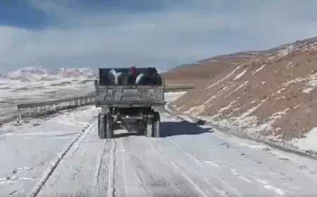 बीआरओ ने फिर रचा इतिहास! 19,400 फीट की ऊंचाई पर बनाई दुनिया की सबसे ऊंची सड़क; लद्दाख में टूटा उमलिंग ला का रिकॉर्ड