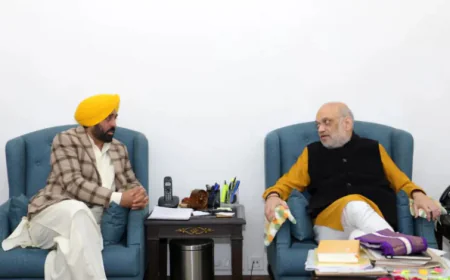 Punjab News: 'RDF चैरिटी नहीं, पंजाब का हक है', अमित शाह से मिले भगवंत मान; बीज बिल और SYL पर जताया कड़ा एतराज