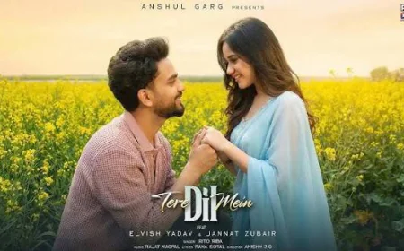 रिलीज होते ही छाया एल्विश और जन्नत का नया गाना ‘तेरे दिल में’, 24 घंटे में मिले रिकॉर्ड व्यूज