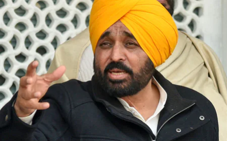 Punjab Tourism: हिमाचल को टक्कर देगा होशियारपुर का 'सलेरन बांध'! CM मान ने किया इको-फ्रेंडली हट्स का उद्घाटन; बोले- अब पर्यटन से बढ़ेगा रोजगार