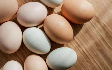 जाने अंडा खाने का सही तरीका जो पहुंचाएगा आपको हर तरीके से फायदा