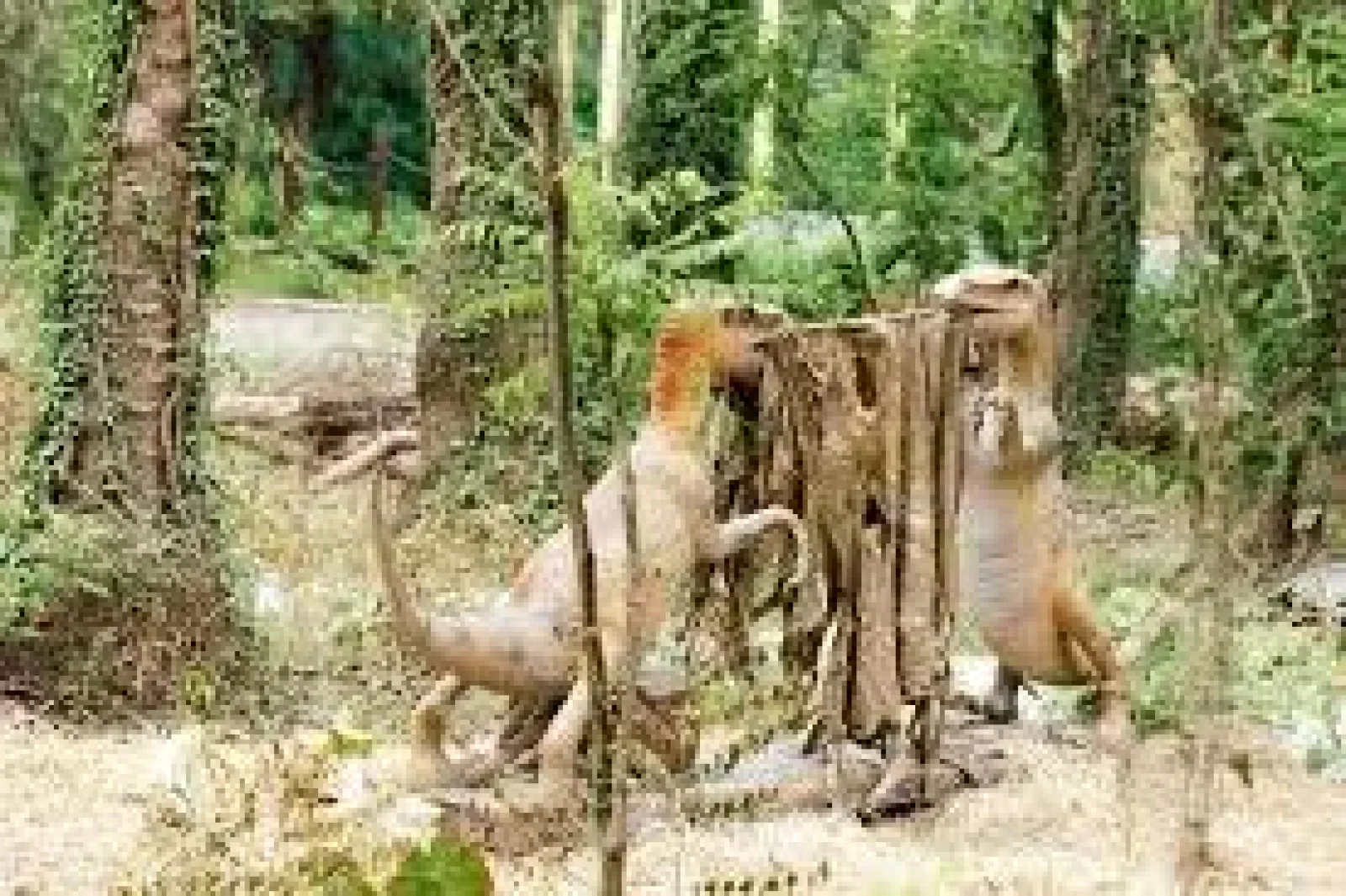 र्ड: 2 महीने में पहुंचे 80 हजार से ज्यादा लोग, जानें क्या है नया आकर्षण?