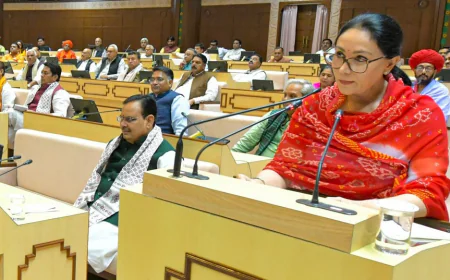 राजस्थान बजट 2026-27: भीलवाड़ा में खुशी की लहर, एलिवेटेड रोड से लेकर 1 लाख नौकरियों के वादे तक जनता ने सराहा