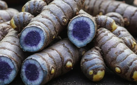 नीली हल्दी के गुण और यूज सुन उड़ जाएंगे आपके होश जानें इसके सभी फायदे