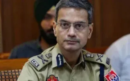 पंजाब में गैंगस्टरों पर पुलिस की बड़ी कार्रवाई, 601 ठिकानों पर छापेमारी, 203 गिरफ्तार