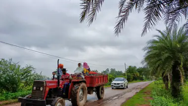 पेड़ के नीचे शरण लेना पड़ा भारी: सरगुजा में मवेशी चराने गई 13 साल की बच्ची पर गिरी बिजली