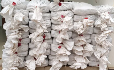 असम में नशे के खिलाफ NCB का बड़ा प्रहार: ₹2.6 करोड़ का गांजा जब्त, मणिपुर से बंगाल तक फैला था तस्करी का जाल