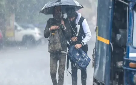 पंजाब-चंडीगढ़ में मौसम का 'यलो अलर्ट': शनिवार से 4 दिनों तक बारिश और तेज हवाओं के आसार, जानें आपके शहर का हाल