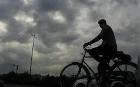 जालंधर में बदला मौसम का मिजाज: बारिश और ठंडी हवाओं से हुई 'गुलाबी ठंड' की वापसी; जानें अगले 5 दिनों का हाल