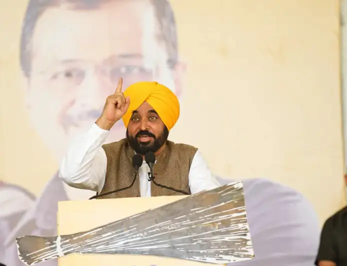 Gujarat Visit: 'अब पंजाब का किसान रात में जागता नहीं, शान से दिन में करता है सिंचाई'-देवगढ़ बारिया में बोले सीएम भगवंत मान