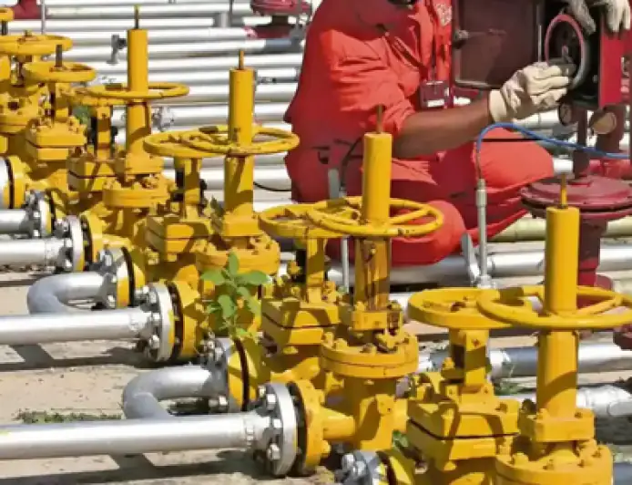 6,000 पीएनजी ग्राहकों ने छोड़ा एलपीजी कनेक्शन, उपलब्धता में होगा सुधार